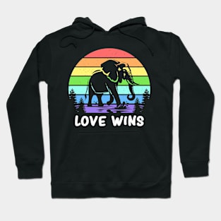 Love Wins Gay Pride Flag Lgbtq Rainbow Month Hoodie